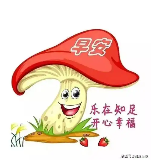 6月23日清早真人美女早上好问候表情 美女早安问候动态表情图片