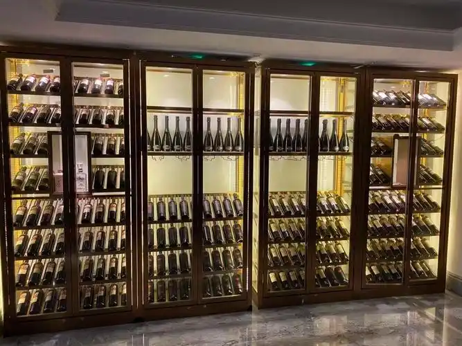 不锈钢恒温红酒柜家用会所别墅酒窖柜现代轻奢高档酒柜