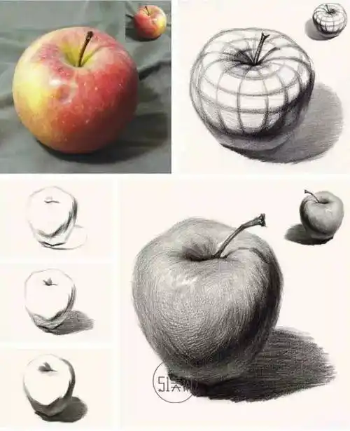 素描静物单个物体单个分析,值得收藏学习