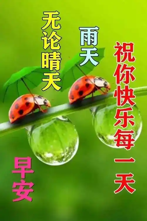 早晨给你一个早安吻,对你说:早安;下午递你一杯温奶茶,对你说:午安
