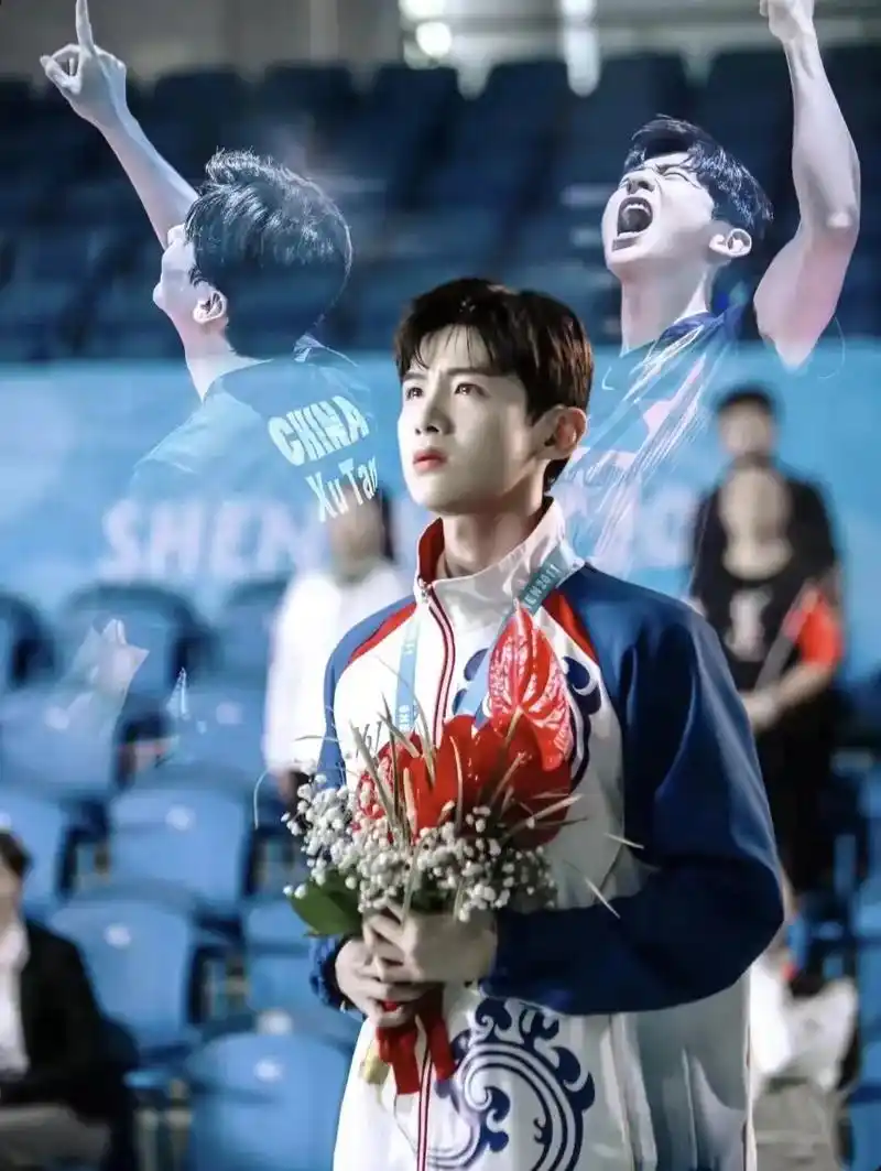 前段时间看完了荣耀乒乓徐坦真帅