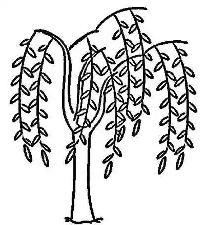 春天的柳树简笔画春天的柳树简笔画简单又漂亮