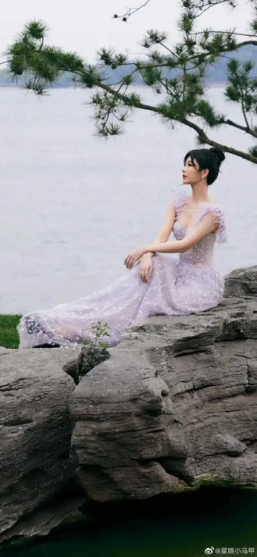 杨紫紫色羽翎雪花裙写真壁纸,杨紫今日份活动造型来啦!