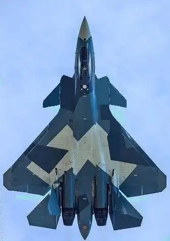 第4代机歼-14"雪鸮"与歼-20"威龙"竞争落败的原因是什么?