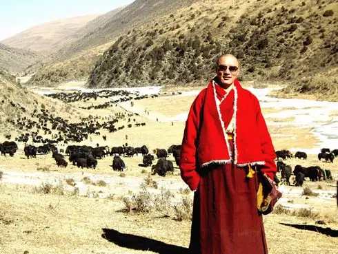 欢迎随喜亚青寺丹真秋培仁波切的共修放牛活动,获得放