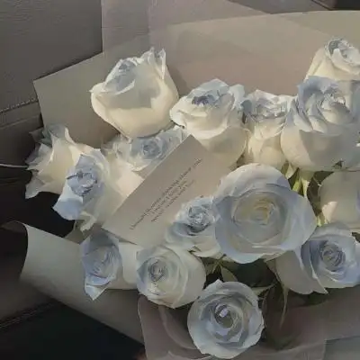 怎样都行 玫瑰花送都浪漫_风景静物头像_我要个性网