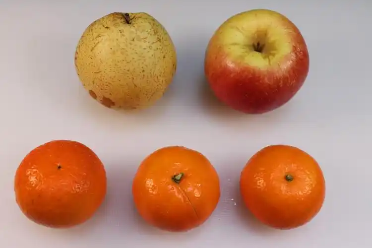 什锦水果,什锦水果的家常做法 - 美食杰什锦水果做法大全