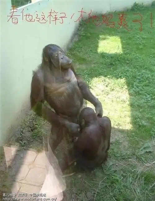 今天我终于狠心买了一辆哈雷!