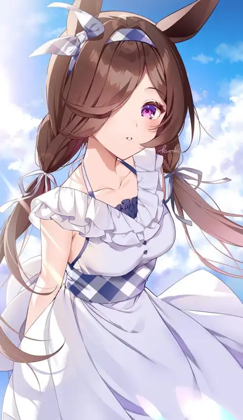 哇扎麻花辫女孩都好温柔啊哈喇子止不住了二次元少女麻花辫插画合辑