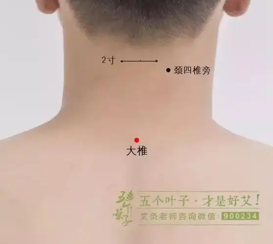 艾养身人的脖子后有一个重要穴位是治颈椎病的奇穴一般人我不告诉他