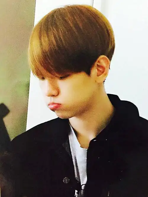 边伯贤可爱的啵啵虎