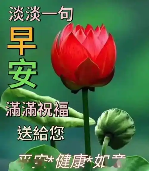 最新早上好问候祝福语大全点点问候幸福无边