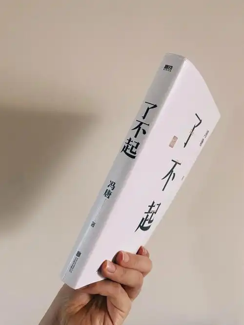 会把这本书找来读完全是因为书名,是什么样了不起的作品/作家会起了