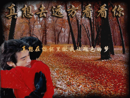 章华艺苑 真想去远方看看你(转)忽然出现在你面前  静静的凝望你  真