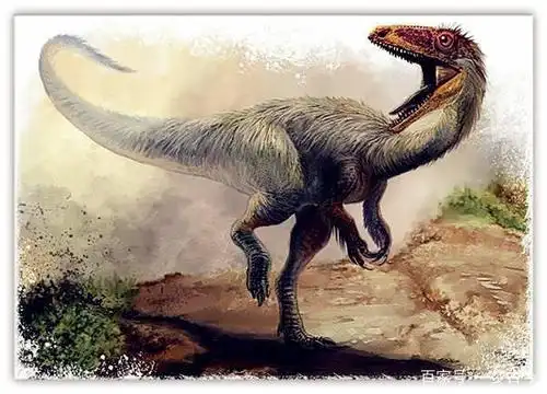 这座城市"金庸先生题笔,北大教授批言"