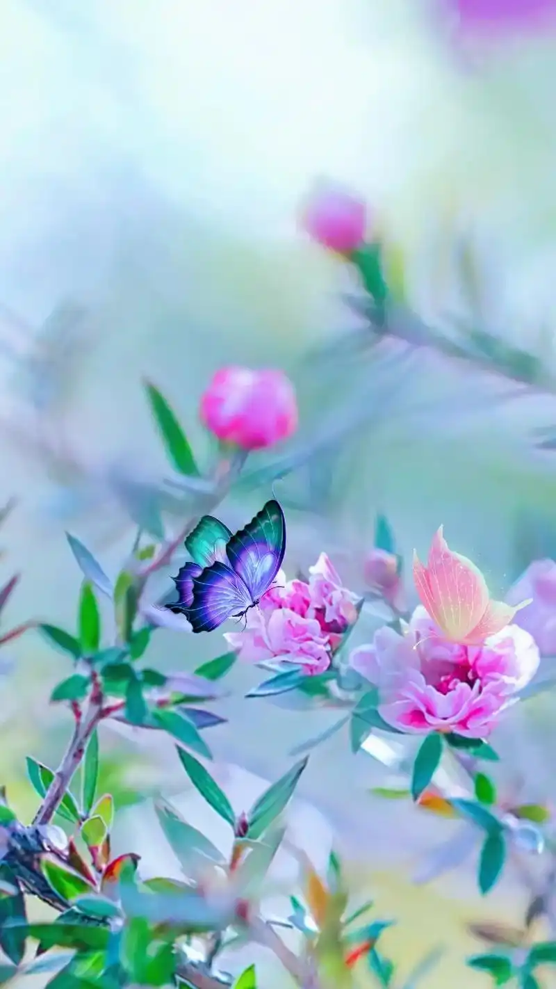 唯美意境      拍一朵花,配一段喜欢的音乐,静听美妙旋 - 抖音