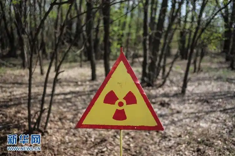 这是4月19日在乌克兰北部切尔诺贝利核电站附近的森林内拍摄的辐射