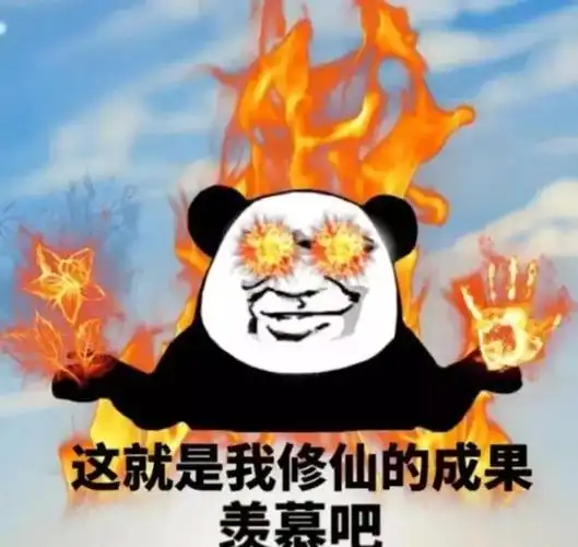 这就是我修仙的成果 羡慕吧
