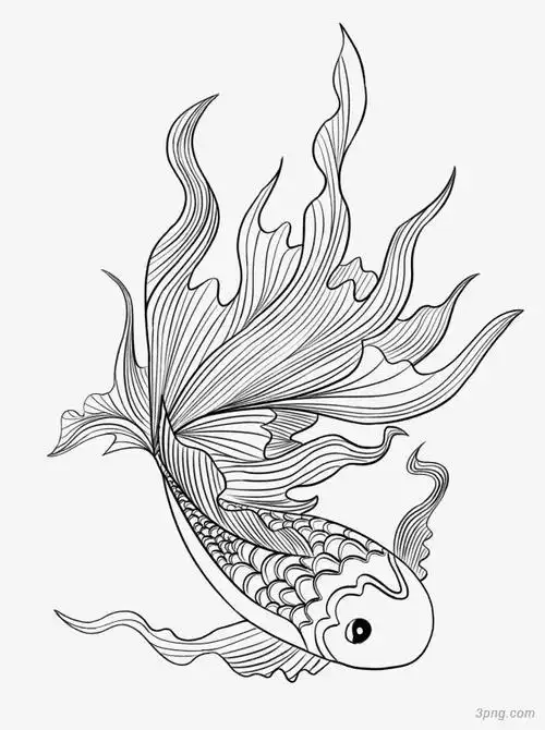 鲤鱼手绘简笔画