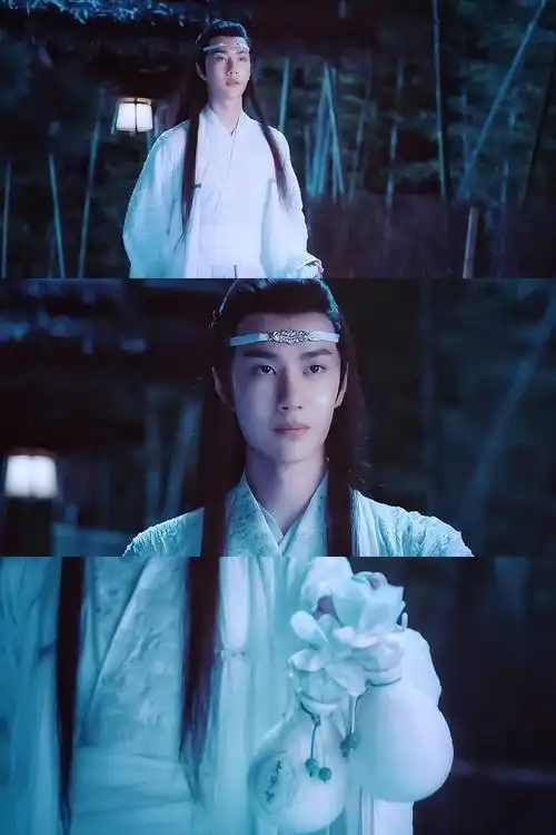 陈情令 蓝忘机 王一博