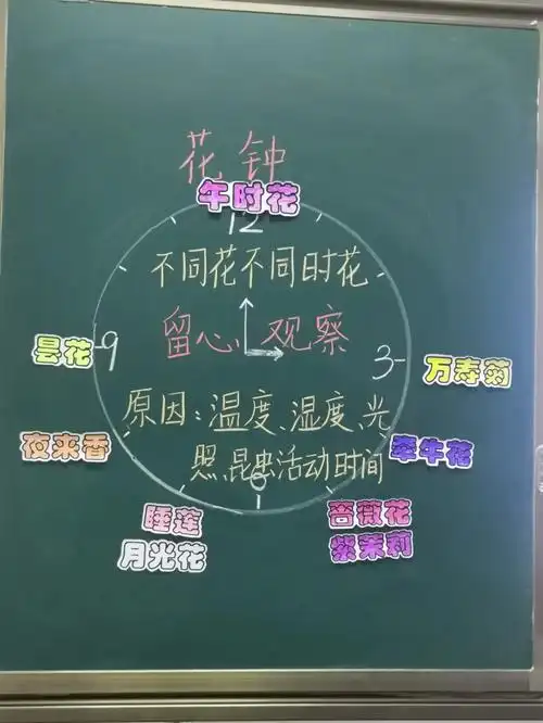 三年级语文下册《花钟》板书