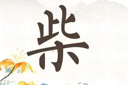 为柴姓宝宝起名 姓柴女孩起名-神算网