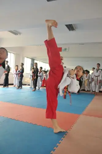 承示范团举办2017年8月1113日举办第一届跆拳道大变身系列培训品势
