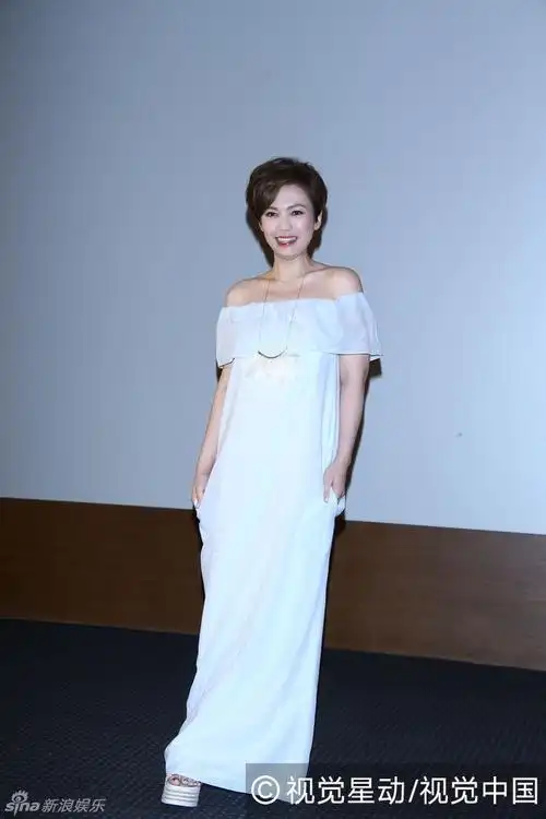 组图:陈洁仪睽违12年出专辑 一字长裙性感优雅_高清图集_新浪网