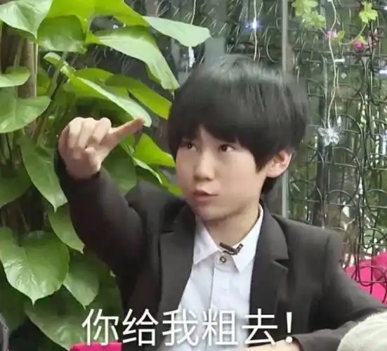 时代少年团表情包张真源篇1