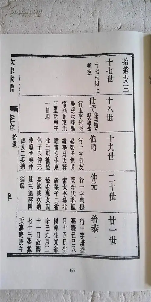 王氏家谱 【复印本】 太原王氏家谱 (卷八--卷二十七) 9本 16开 4498