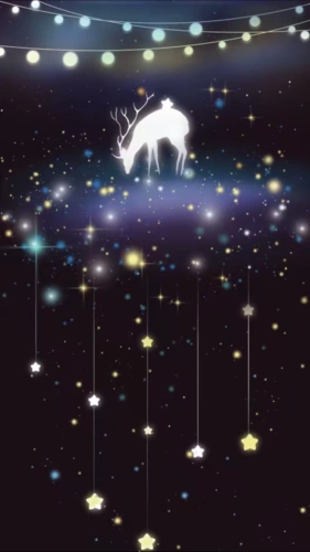 荧光- 堆糖,美图壁纸兴趣社区