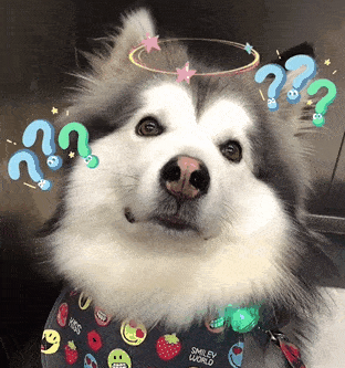 抖音网友@momo゛就是路人会害怕自己的狗可能会担心一个问题遛狗的