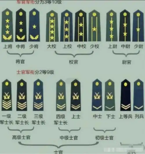 如《战狼》系列,《长 津湖》系列,《我是特种兵》等优质影视剧,多次拿