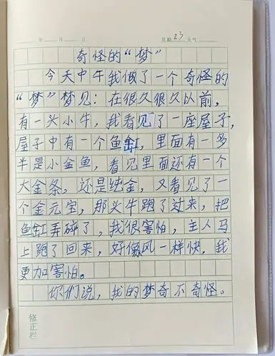 三年三班暑期日记赏析