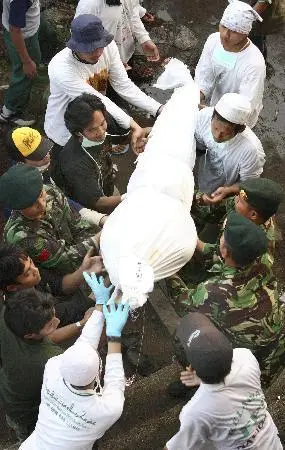 图文:印尼海啸遇难者人数增至531人(4)