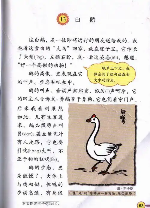 13 白鹅 - 洪于婷 - 眞嗳伱の云