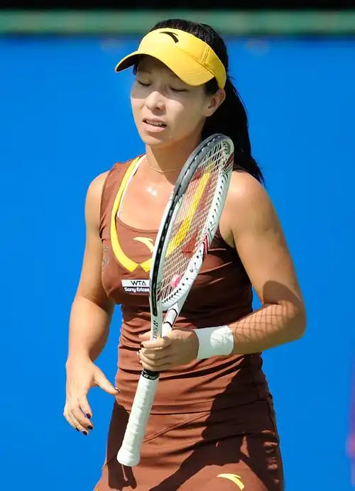 大阪赛郑洁不敌斯托瑟无缘决赛_高清图集_新浪网