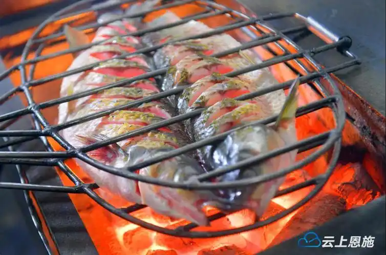品味舌尖上的美味——宣恩烤活鱼-社会-云上恩施