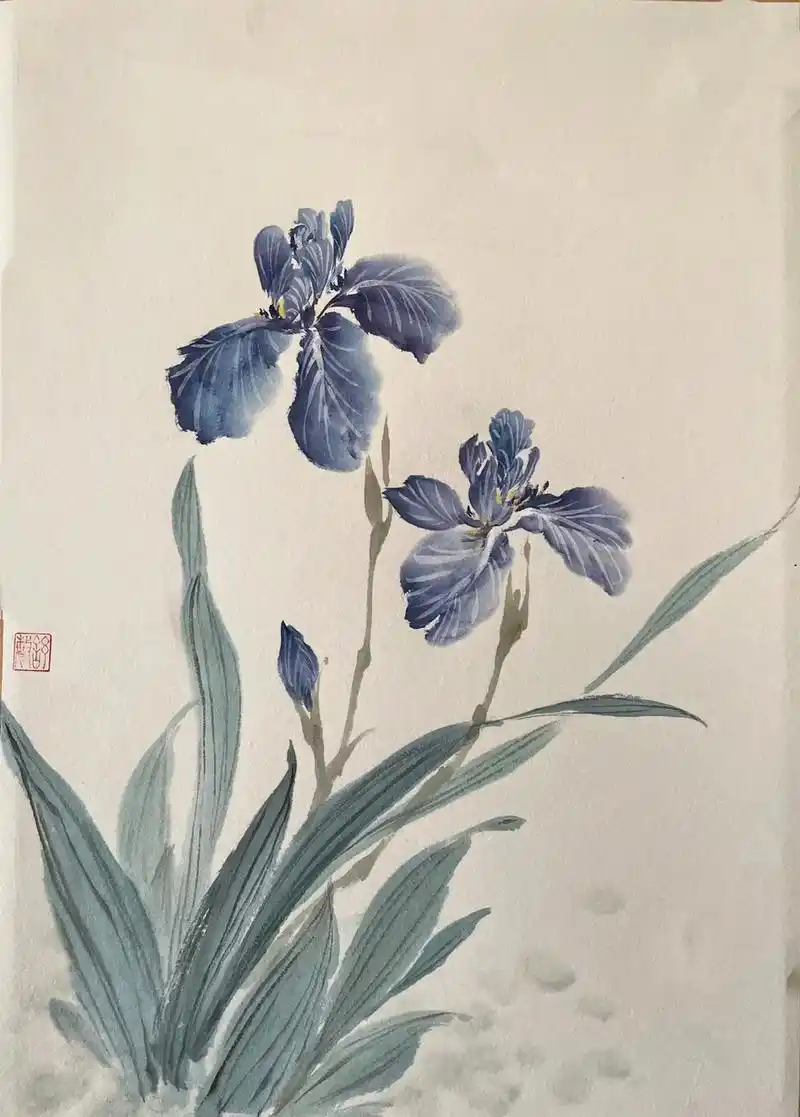 蓝色妖姬～鸢尾花 #想画就画 #分享美好 #国画 #写意花鸟 - 抖音