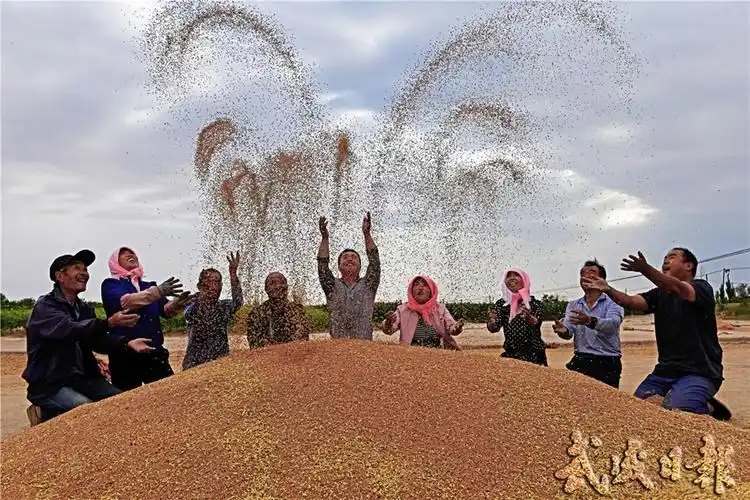 春华秋实 天道酬勤 热烈庆祝第三个"中国农民丰收节"