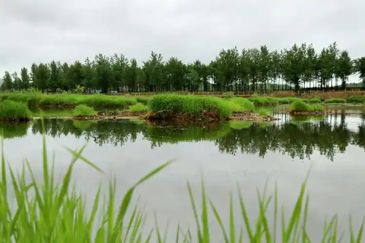 雨后小清新～爱河风景区