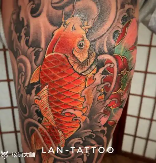 锦鲤_纹身图案手稿图片_张斌的纹身作品集