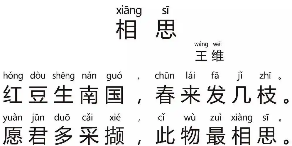 ③ 红豆:又名相思格,孔雀豆,结出的籽像豌豆而稍扁,呈鲜红色,可做配饰