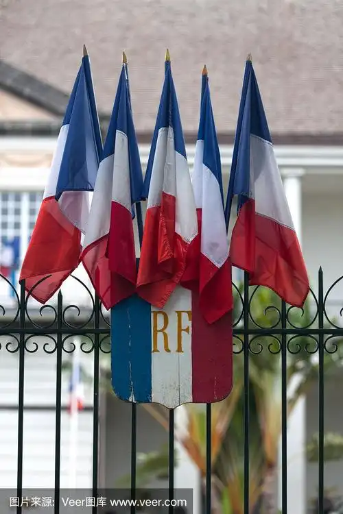 法兰西共和国的盾徽和五面国旗