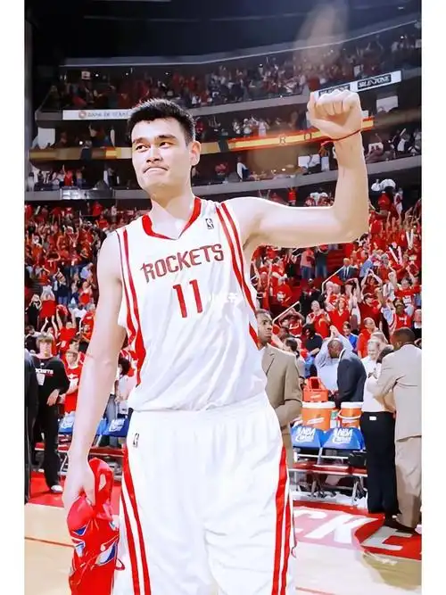 姚明巅峰在nba里是什么等级的存在?