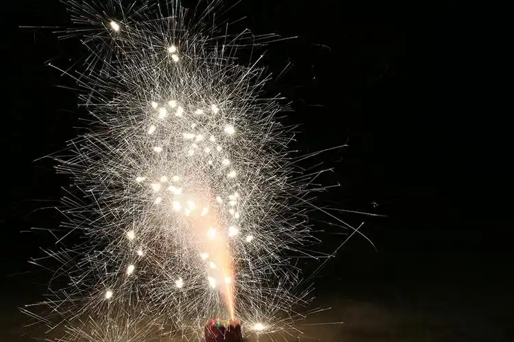 蛋糕花筒 亲子儿童小烟花 造型喷花