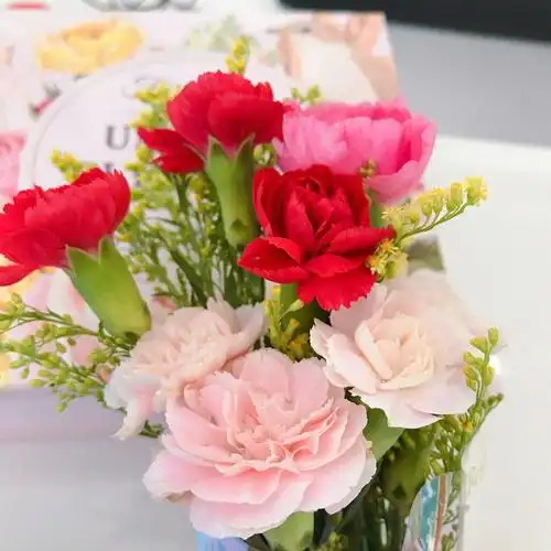 送您一束康乃馨,祝您健康平安!