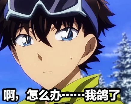 搞笑 文字表情包 沙雕 名侦探柯南 动漫