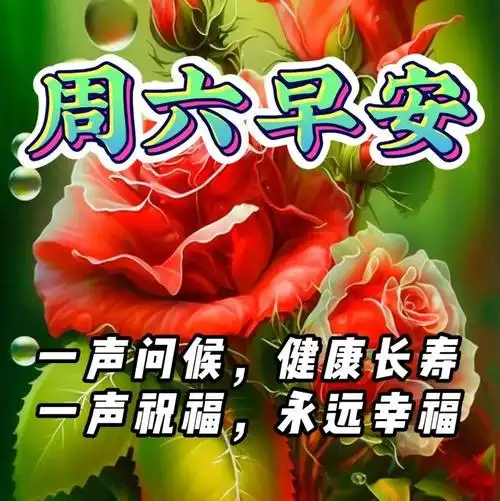 星期六早上好问候祝福表情图片 周六最新早安问候语图片表情