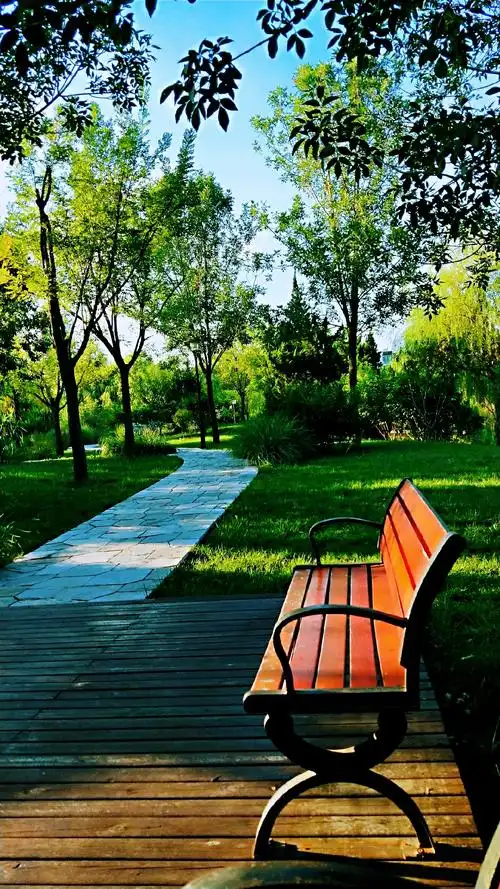 2018年8月24日下午富民体育公园景色拍照